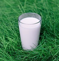 1/2 Gallon Raw Grass Fed A2 Milk in Glass - Miller's Bio Farm